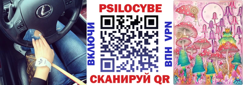 Псилоцибиновые грибы Psilocybine cubensis  Хвалынск 