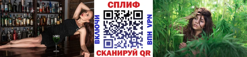 Каннабис план  купить   Хвалынск 